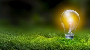 green living green scantuary