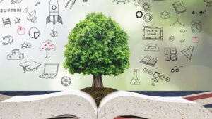 Justice, Equity and Compassion